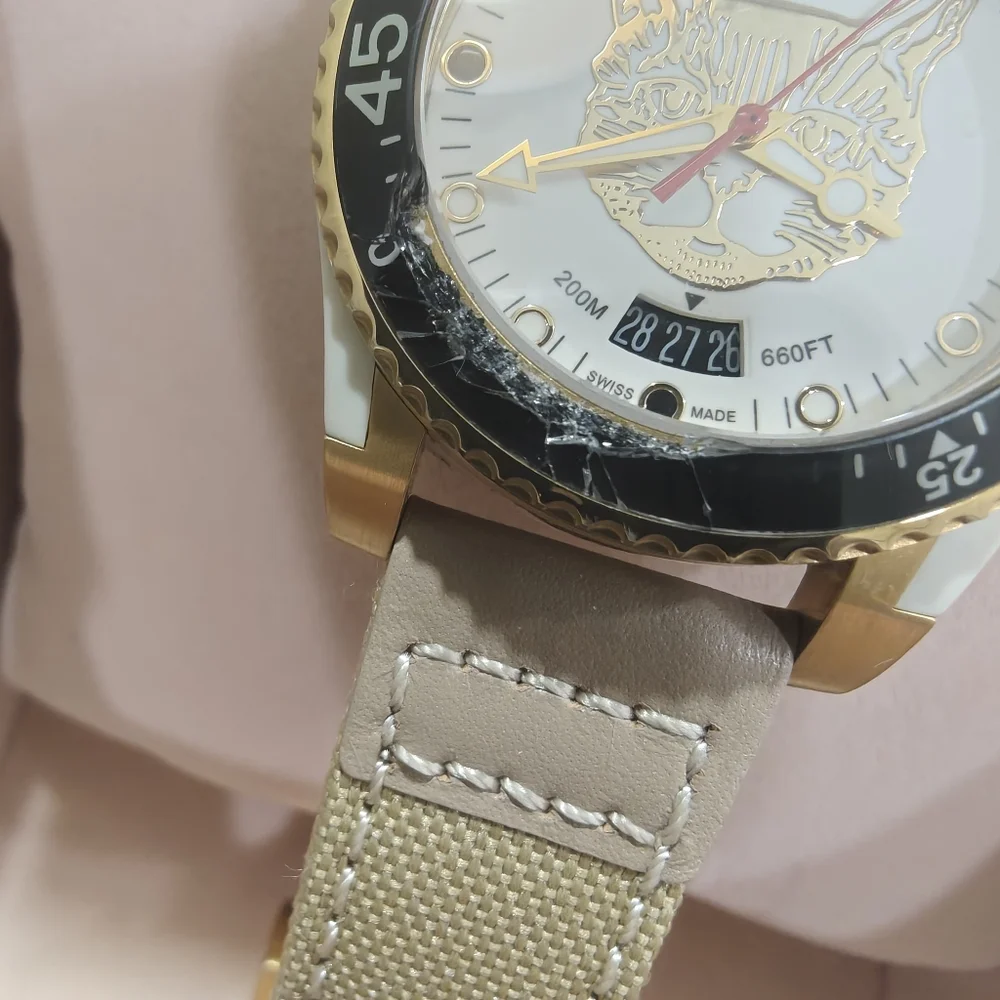 GUCCI Dive Watch